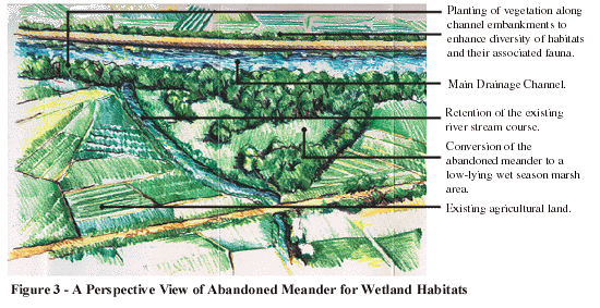 Image of A Perspective View of Abandoned Meander for Wetland Habitats