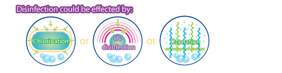 Disinfection could be effected by: Chlorination, UV disinfection, Ozonation