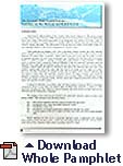 Download Whole Pamphlet