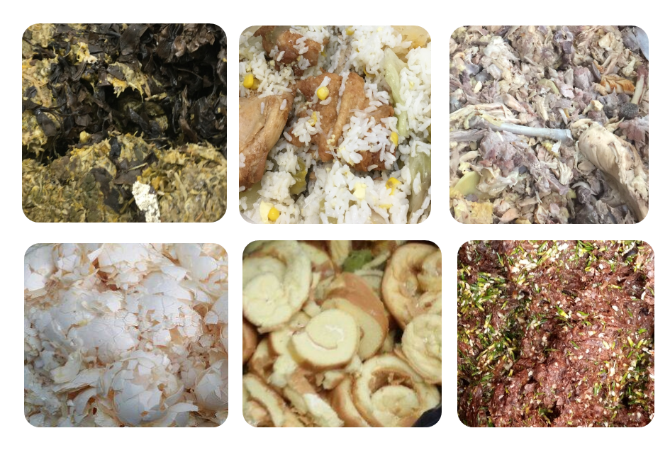 Images of Typical Food Waste Coming from C&I Sectors