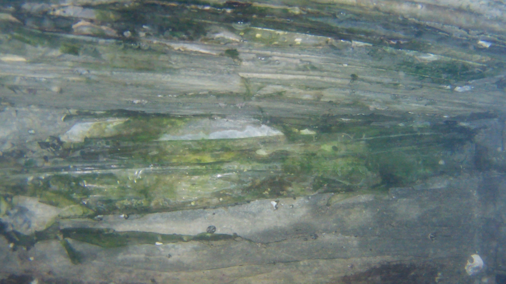 生态海岸线的洞穴及附着的海洋生物