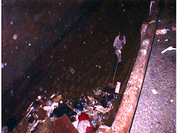 Image of Manual cleaning and washing the surface of the live-floor will be carried out every dayend.