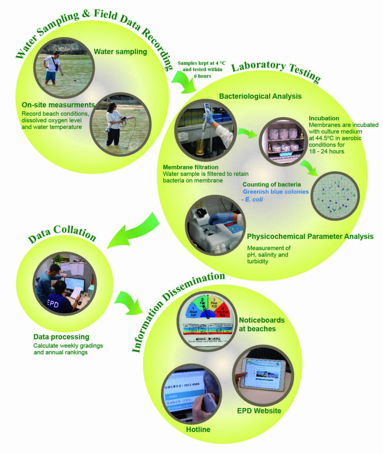 Overview of various stages of the Beach Monitoring Programme