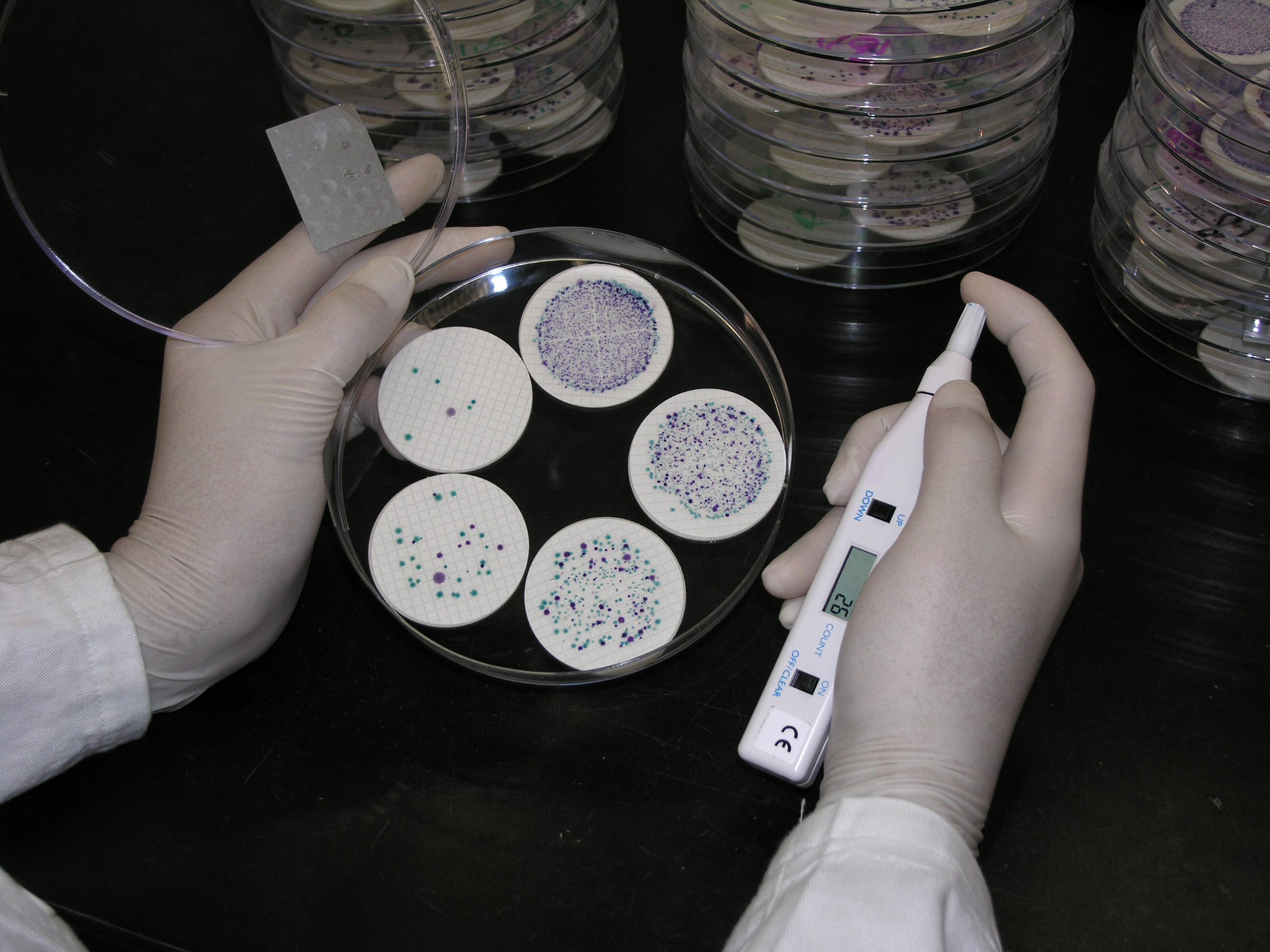 Interactive Gallery Environmental Protection Department