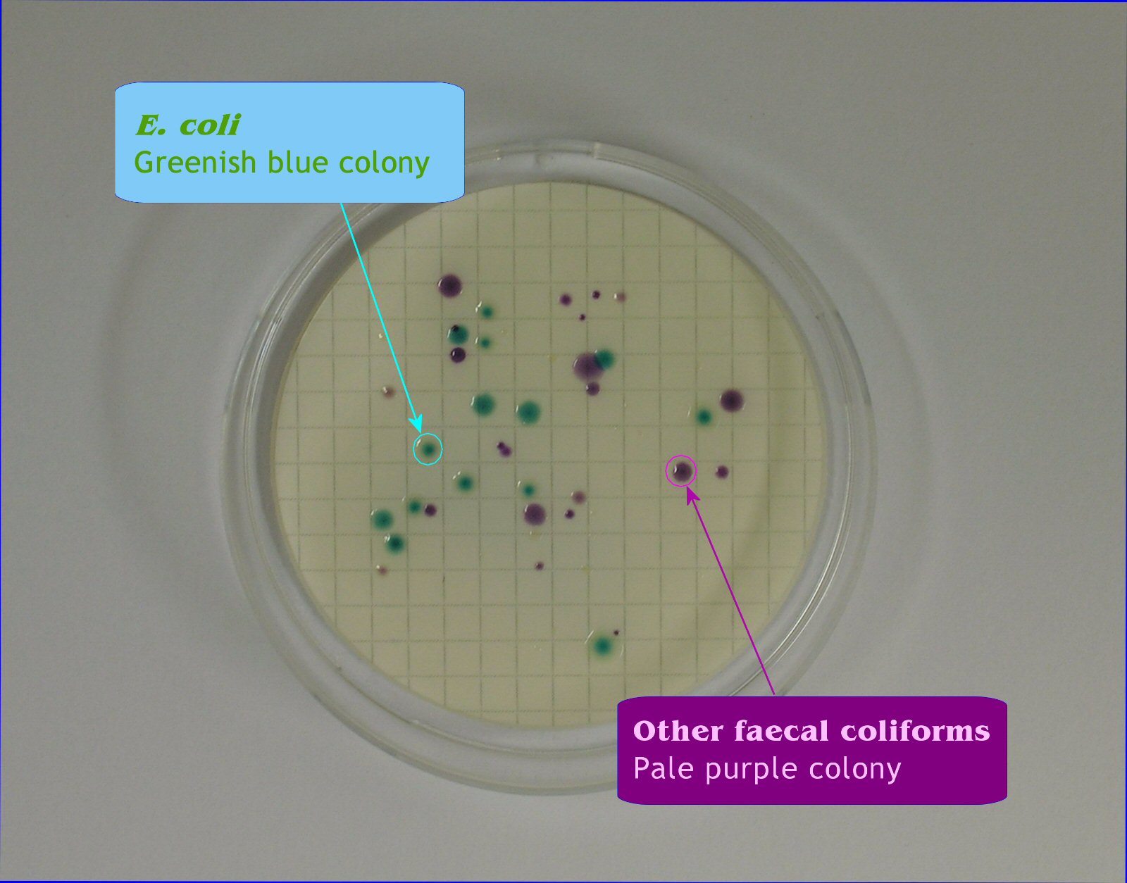Interactive Gallery Environmental Protection Department