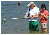 Sampling and field measurement