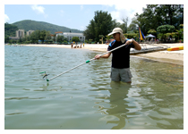 Sampling at Silvermine Bay Beach