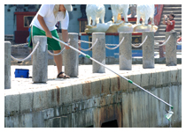 Sampling at a storm outlet in Repulse Bay Beach
