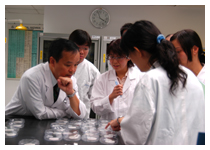 Staff attending training workshop