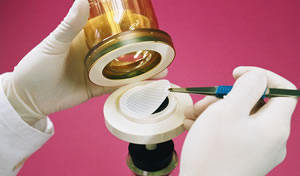 Using membrane filtration method to analyse beach water samples