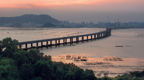 Oyster Culture at Lau Fau Shan