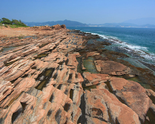Marine Life in Tung Ping Chau Marine Park