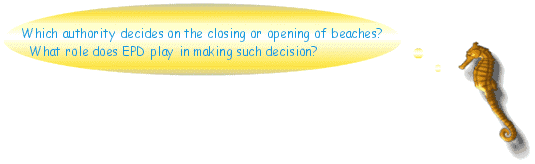 Image of Which authority decides on the closing or opening of beaches? What role does EPD play in making such decision?