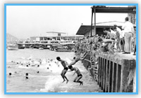 Cross Harbour Swim in 1965