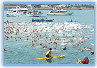 Cross Harbour Swim resumed in 2011