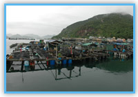 Sok Kwu Wan Fish Culture Zone