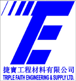 Logo of TFE
