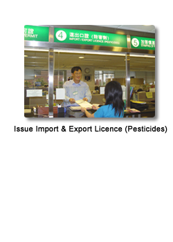 Import and Export Ordinance