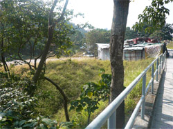 The land filling ceased and the waste was cleared up