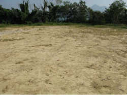 Site condition as at 14 November 2008.