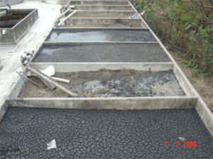 sludge_drying%20bed.gif