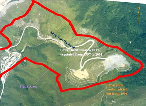 2000 Aerial Photograph