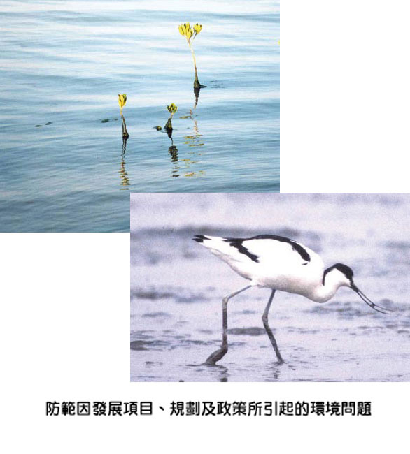 防范因发展项目、规划及政策所引起的环境问题图片