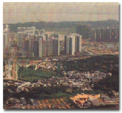 大厦及平房发展图片