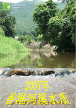 2007年河溪水质报告