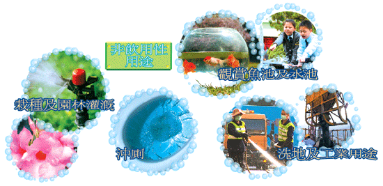 非飲用性用途:栽種及園林灌溉,沖廁,觀賞魚池及水池,洗地及工業用途