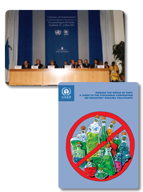 斯德哥尔摩公约