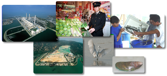 香港持久性有機污染物的現況