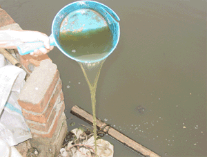 sedimentation_tank.gif