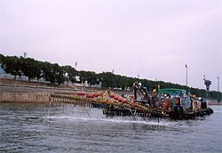 Photo of Bioremediation