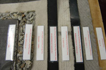 新界東南堆填區